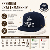 Topi Snapback Bordir Logo Kustom Grosir, Pesanan Massal, Produsen OEM ODM Langsung, MOQ Rendah
