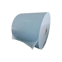 Disposable Toilet Seat Mat for Household and Travel Use Waterproof Large Cushion Paper Tissue Laminated PE Film Dirty