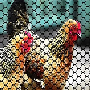 Jala heksagonal kawat unggas, pagar taman pembatas untuk pagar ayam kelinci hewan peliharaan kualitas tinggi