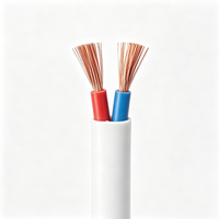 Kabel Tembaga Fleksibel Berinti 2&3 RVVB Dengan Selubung PVC, Tahan Suhu 70C, Tegangan 300/300V, Warna Putih