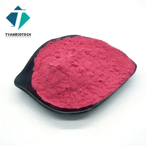 High Quality Fresh Mulberry Fruit Powder Anthocyanidins Mulberry Fruit Extract for Drink Juice