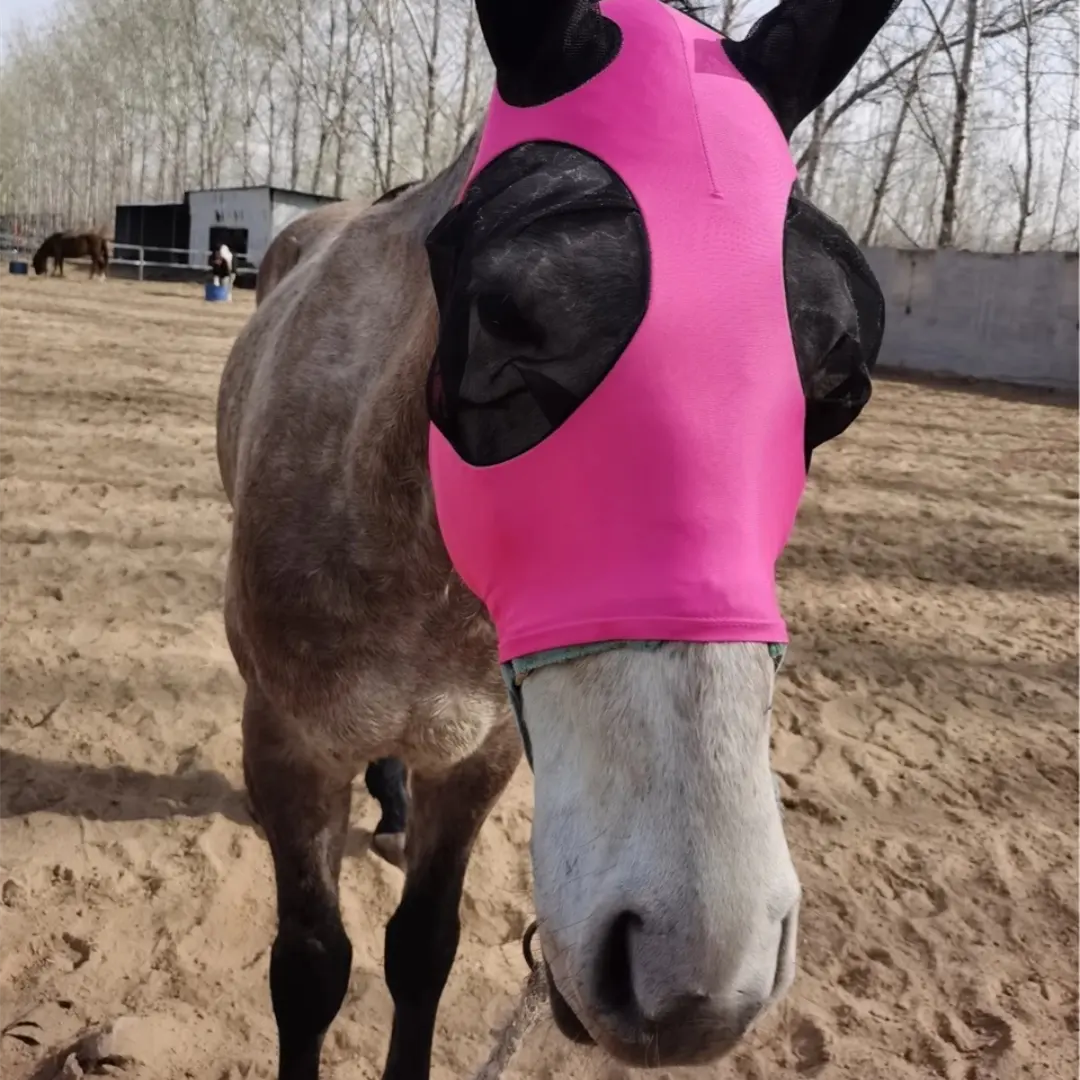 Masque cheval d'âne respirant de haute qualité, anti-moustiques et anti-mouches