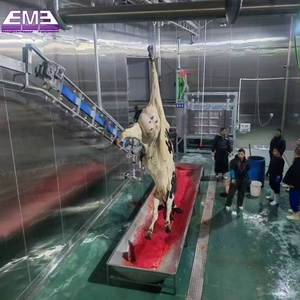 Современное оборудование для убоя крупного рогатого скота и переработки мяса баранины для бойни - Product Image 2