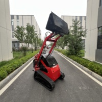 Caricatore Cingolato a Raggio Zero per Fresatura e Sollevamento, Spedizione Rapida, per Agricoltura, Lavori Multipli, Forestali e Carico in Magazzino