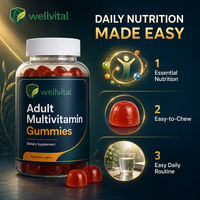 Fabricación por Contrato OEM ODM, Gomitas Multivitamínicas para Adultos para Energía y Apoyo Inmunológico