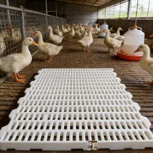 แผ่นพื้นพลาสติกสำหรับปศุสัตว์ ทนทานต่อความเสียหาย ปลอดภัยสำหรับอาหาร ใช้สำหรับปูพื้นแพะ  แผ่นรองรับมูลสัตว์ - Product Image 1