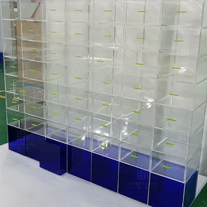 Grande scatola di esposizione di scarpe giocattolo trasparente fissata al muro con serratura scatola di immagazzinaggio acrilica dell'esposizione di plastica