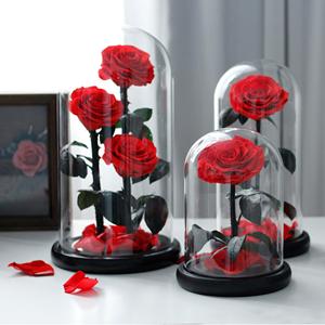 Rosas Auténticas Lovebay para <span class=keywords><strong>el</strong></span> Día de San Valentín, Rosas Eternas Preservadas, Rosas Naturales Preservadas en Cúpula de Cristal - Product Image 1