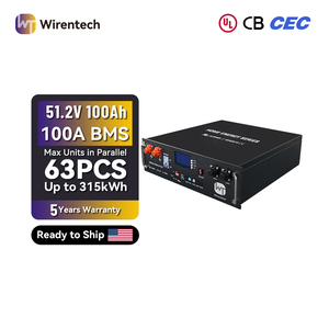 Sistem Cadangan Daya Surya US Stock Rack Battery 5.12KWh LiFePO4 51.2V 100Ah UPS, Bersertifikasi CE CB, Pengiriman Cepat, Siap Kirim, Pengiriman Global - Product Image 1