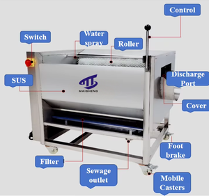 Hochwertige automatische Bürsten wasch schälmaschine für Aloe Vera/Kaktus/Maniok/Ingwer/Karotte/Kartoffel-Wurzelgemüse schäler - Product Image 2