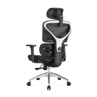 NOEL Bester Ergonomischer Bürostuhl mit Rückenlehne, Drehbar, Hohe Rückenlehne, Vollständig aus Netzgewebe, Multifunktionaler Chef-Bürostuhl