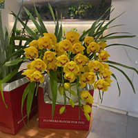 Boîte Cadeau de Luxe en Carton Recyclé pour Bouquet de Fleurs, Idéale pour Plantes Vertes et Succulentes du Nouvel An