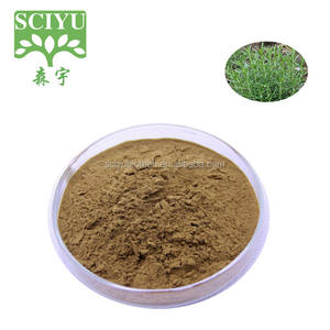 ローズマリーエキス粉末 ローズマリーパウダー ウルソール酸、ロズマリニック酸 10%～98% - Product Image 6