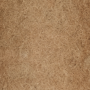 Fibra de coco de calidad de exportación fibra de coco procesada limpia fuerte perfecta para compradores mayoristas e industriales globales - Product Image 1