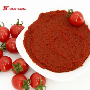 Midden-Oosten Markt Biologische 800G Tomatenpuree In Blik 800G * 12 Blikken/Ctn Met Certificaat