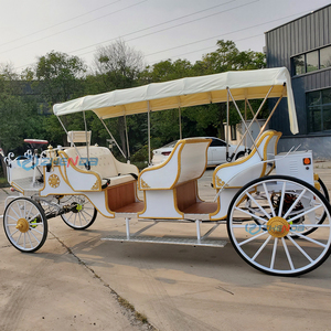 Luxury Zhenda Electric 6-Person Solid Rubber Tires Horse Carriage for Sightseeing-Best-selling - Product Image 1