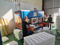 Machine de stratification de feuille de mousse de polyéthylène EPE PE Double face à alimentation entièrement automatique