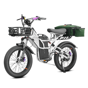 Vélo Électrique Tout-Terrain Eahora Cupid Fat Tire Mountain Sport 250W pour Ville et Montagne - Entrepôt UE - Fatbike Europe - Product Image 1