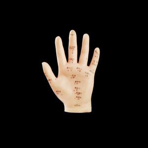 हाथ एक्यूपंक्चर मॉडल 13cm, एक्यूपंक्चर हाथ मॉडल - Product Image 3