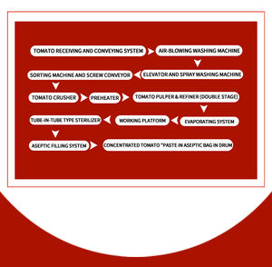 สายการผลิตซอสมะเขือเทศวางมะเขือเทศแบบเต็มรูปแบบโซลูชันเครื่องจักรสำหรับโรงงานวางมะเขือเทศแบบอัตโนมัติ - Product Image 4