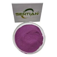 Patate douce violette naturelle/poudre séchée congelée Solanum Tuberdsm Ube poudre de pomme de terre violette