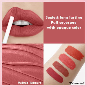 4 Multi-Color de larga duración Hidratante Terciopelo Mate Lápiz labial impermeable Copa antiadherente Brillo de labios - Product Image 2