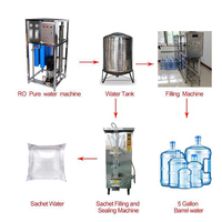 Équipement de Traitement de l'Eau Potable pour Petite Usine, Machine d'Osmose Inverse RO pour Eau de Puits, Fabrication d'Eau Minérale
