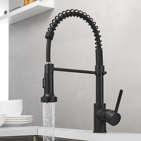 Robinet pulvérisateur d'eau extractible, mitigeur de cuisine en laiton pour évier d'eau