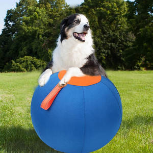 Palla da Pastore <span class=keywords><strong>Jolly</strong></span> Dog Blu Personalizzata da 18'' in PVC Resistente, Giocattolo Sportivo per Cani Australiani e Tedeschi, Ecologico e Moderno - Product Image 1