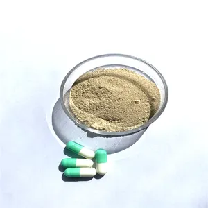 Hot Selling Cas 1143-70-0 High Purity Supplement Urolithin-a Bulk Anti-aging Urolithin A Powder