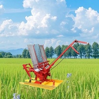 Machine à planter le riz manuelle à deux rangs, transplanteur de riz portatif, fournie directement par l'usine
