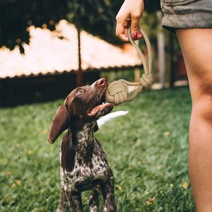 Jouets à mâcher interactifs de luxe durables pour chiens, en chanvre naturel et coton, corde écologique, style amusant, pour l'hygiène dentaire et l'extérieur - Product Image 3