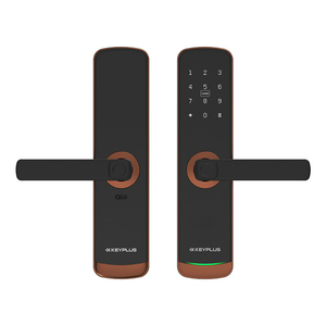 NEW Electronic <b>Locks</b> With CE & Certification High Security Fingerprint <b>Lock</b> <b>Smart</b> <b>Lock</b> T2 Electronic <b>Lock</b> - Product Image 3