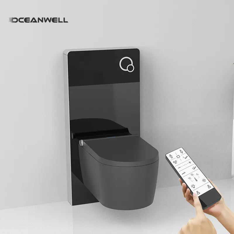 Toilette suspendue au mur en céramique de salle de bain colorée noire mate de réservoir dissimulé Oceanwell