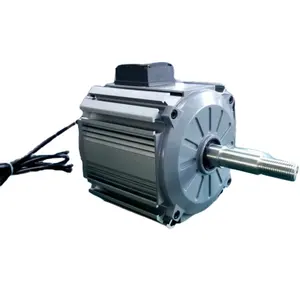 Pro tedarikçisi elektrikli öncü Motor fırçasız 220V negatif basınç fanı akıllı enerji tasarrufu Motor 1.5Kw BLDC Motor