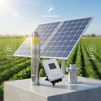 Pompe à eau solaire submersible en acier inoxydable 1HP DC à haute pression (140m) économique pour l'agriculture maraîchère et la vente en gros au Zimbabwe