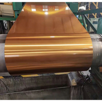 Bobine d'acier prélaqué PPGI de haute qualité, produits en acier galvanisé prépeint, fabricant chinois, à vendre