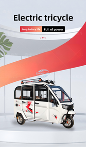 Triciclo Eléctrico Cerrado de Alta Potencia con Frenos de Disco, Seguro para el Transporte, Resistente a la Intemperie, 3 Pasajeros, Capacidad de Carga de 300-400 kg, Largo Alcance - Product Image 5