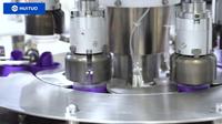 Machine d'emballage automatique pneumatique pour bouteilles en verre/plastique avec système de capsulage polyvalent pour bouchons combinés