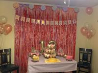 Vente en gros feuille frange rideau fête décoration clinquant rideau fête Photo toile de fond pour anniversaire bébé douche Graduation personnaliser