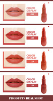 Matte Bullet Rouge À Lèvres Nude Cosmétique Maquillage Rouge À Lèvres Étanche À Base De Plantes Rouge À Lèvres MSDS 4g Bouteille De Vin Rouge À Lèvres 3 Ans