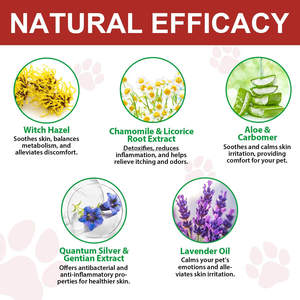Spray Calmante para Gatos, Alivia la Picazón, Cuidado de la Piel Felina, Ayuda a la Curación de Heridas, Aloe Vera, Desodorante con Plata Cuántica, 100ml, OEM - Product Image 3