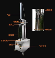 Ananas Schilmachine Winter Meloen Papaja Watermeloen Dunschiller