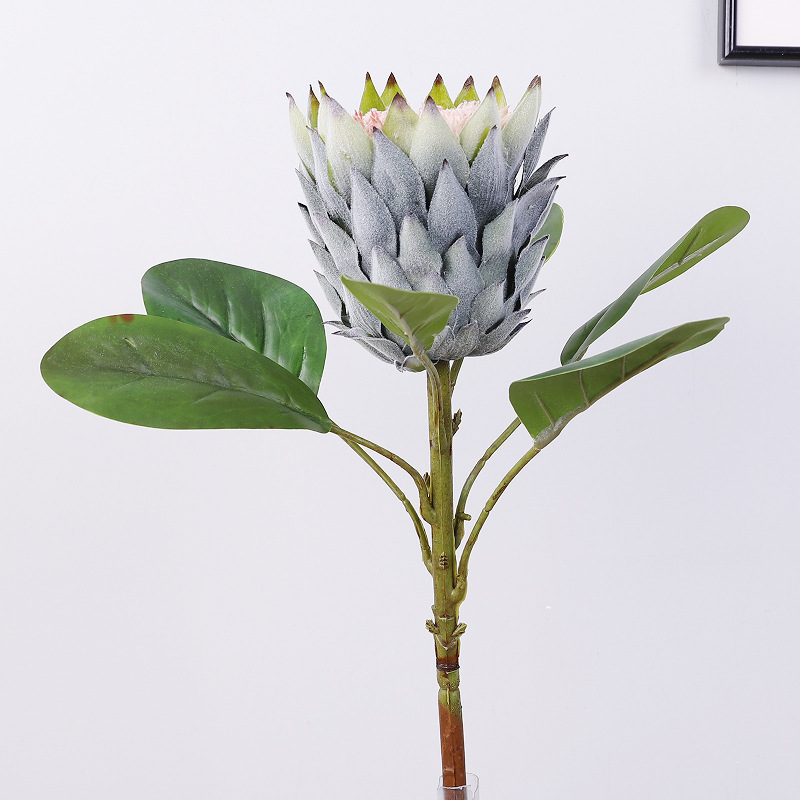 23-1A King Protea [Green]