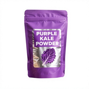 Poudre de chou violet naturel pur très vendue, poudre de légumes pour régime cétogène, marque privée, poudre de chou frisé violet - Product Image 1
