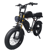 Lot d'usine 20 pouces vélo électrique motoneige plage pneu large Double batterie 48V moteur central moto à assistance électrique