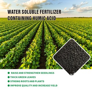 Fertilizante <span class=keywords><strong>Foliar</strong></span> de Liberación Controlada de Ácido Húmico, Productos de Leonardita, Ácido Húmico, Ácido Húmico 66, Fertilizante de Ácido Húmico - Product Image 3