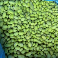 Noyau de soja congelé IQF de la meilleure qualité décortiquées Edamame et légumes de soja vert