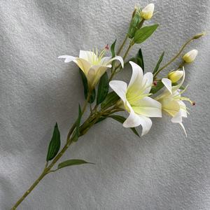 Flor <span class=keywords><strong>de</strong></span> lirio artificial <span class=keywords><strong>de</strong></span> 6 cabezas <span class=keywords><strong>de</strong></span> Calla <span class=keywords><strong>de</strong></span> seda al por mayor para decoración, venta al por mayor <span class=keywords><strong>de</strong></span> - Product Image 6