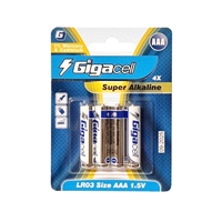 Pile alcaline double A 1,5 V LR6, format AM3 AA, piles sèches pour jouets/ouvrages électriques, jouets éducatifs